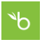 BambooHR Connection